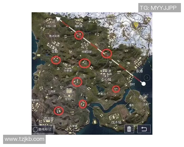 和平精英战术深度分析EDG团队的战略布局与实战技巧探讨